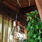 Photo n°14 de l'avis de Isabella.a fait le 01/11/2022 à 15:27 sur le  Osteria Degli Usignoli à Molino Cento