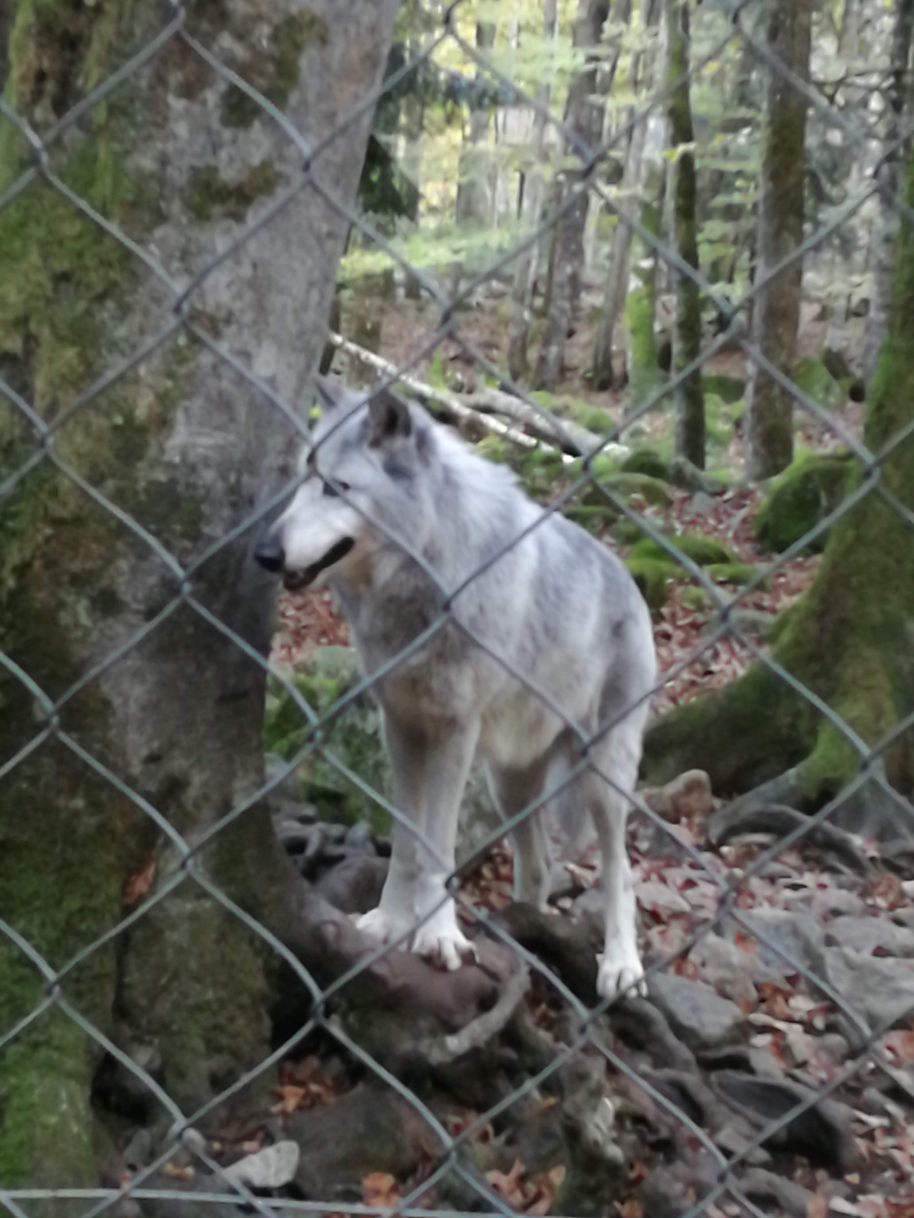 Photo n° 1 de l'avis de Marcel.a fait le 20/11/2019 à 06:38