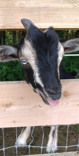 Tourist Attraction «Indiana Caverns», reviews and photos, 1267 Green Acres Dr SW, Corydon, IN 47112, USA