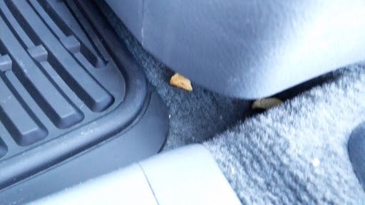 Car Wash «Platinum Car Wash», reviews and photos, 9120 Waukegan Rd, Morton Grove, IL 60053, USA