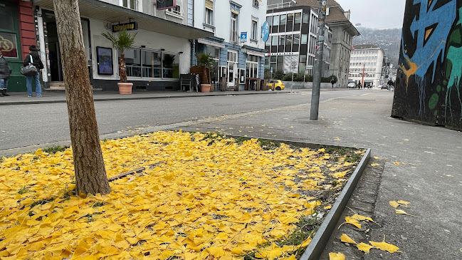 Parking Esplanade Zentralstrasse 63