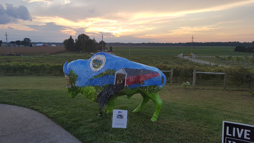 Winery «Chateau de Pique Winery», reviews and photos, 6361 N County Rd 760 E, Seymour, IN 47274, USA