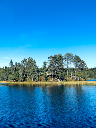 Råholt thaimassasje alternative behandling