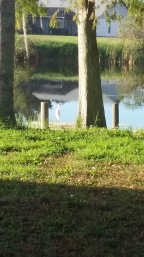 Soccer Store «Players Club Soccer Store», reviews and photos, 1850 Windingwood Ave, Brandon, FL 33511, USA