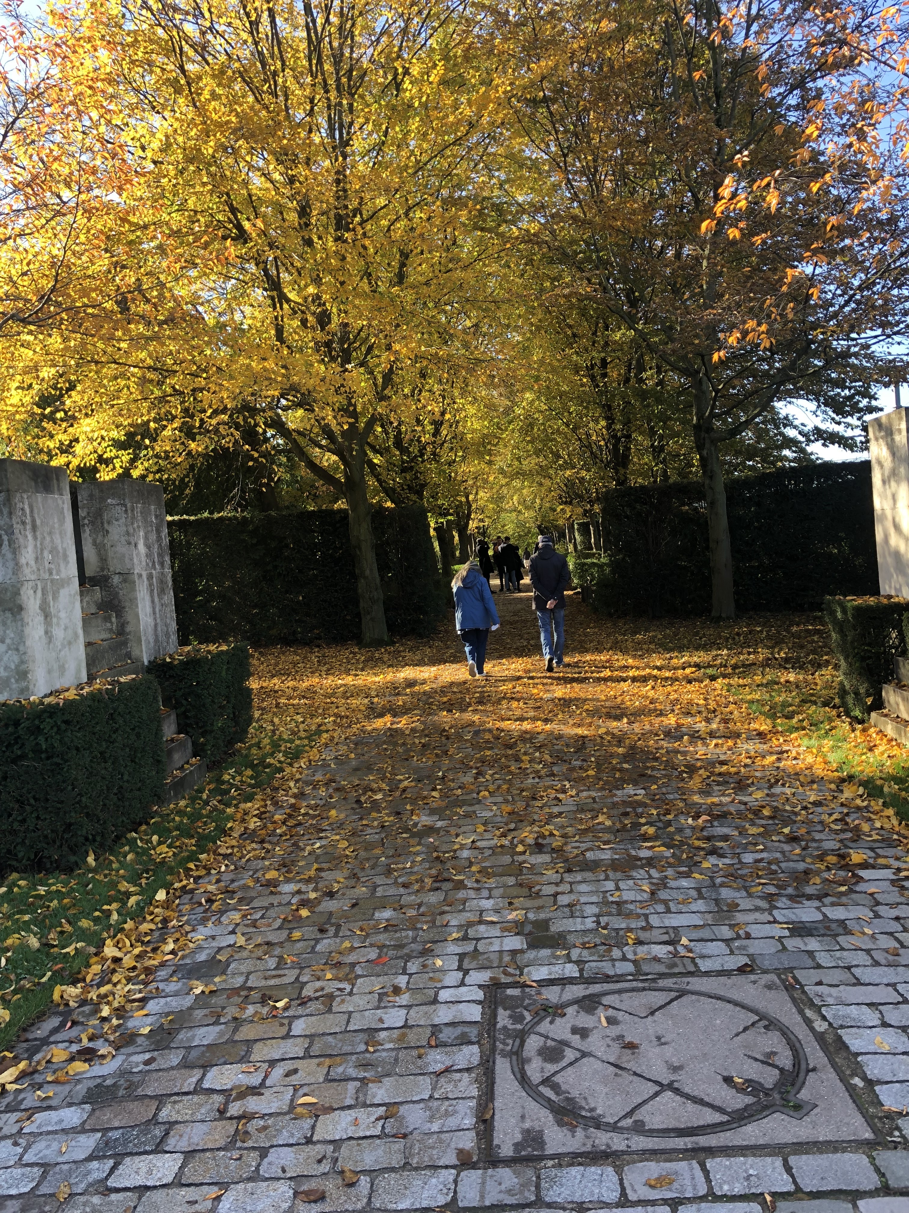 Photo n° 40 de l'avis de Jean.o fait le 22/11/2018 à 10:25