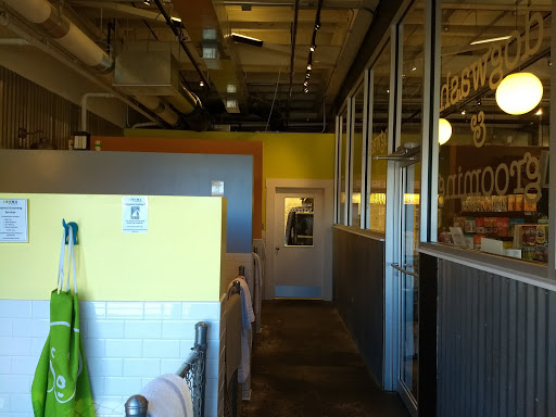 Pet Store «Dogma for Pets LLC», reviews and photos, 3600 Boston St, Baltimore, MD 21224, USA