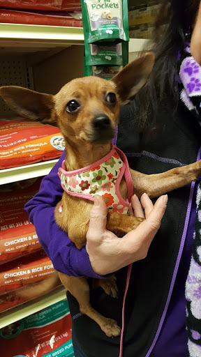 Pet Supply Store «PetSmart», reviews and photos, 63 Rice Lake Square, Wheaton, IL 60187, USA