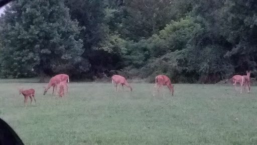 National Park «Greenbelt Park», reviews and photos, 6565 Greenbelt Rd, Greenbelt, MD 20770, USA