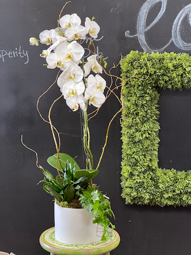 Florist «Cerritos Hills Florist», reviews and photos, 11827 South St, Cerritos, CA 90703, USA