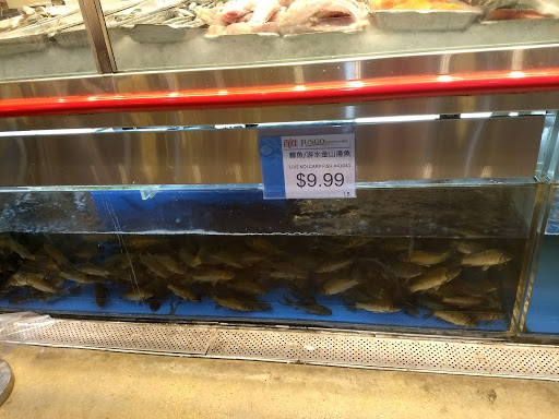 Supermarket «Jusgo Supermarket», reviews and photos, 240 Legacy Dr #200, Plano, TX 75023, USA