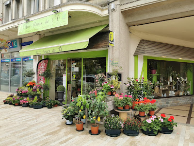 Aux fleurs de l'ô à Falaise