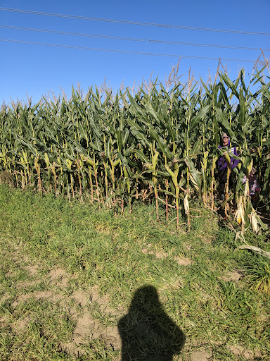 Farm «Four Town Farm», reviews and photos, 90 George St, Seekonk, MA 02771, USA