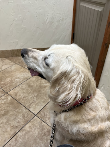 410 FM 407 E, Argyle, TX 76226, USA