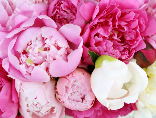 Florist «BOUQUETS», reviews and photos, 1525 15th St, Denver, CO 80202, USA