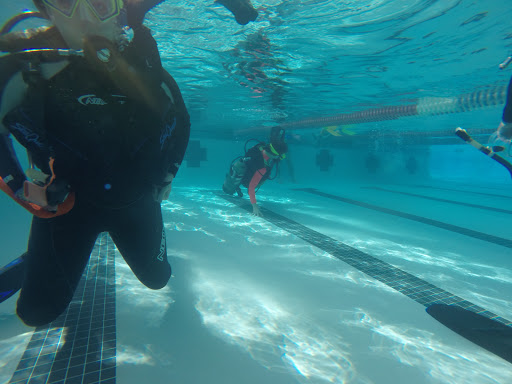 Dive Shop «Orbit Marine Sports Center Inc», reviews and photos, 3273 Fairfield Ave, Bridgeport, CT 06605, USA