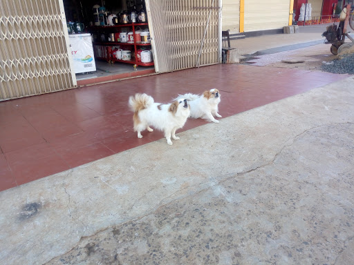 Top 14 cửa hàng vans tphcm Huyện Ea Kar Đắk Lắk 2022