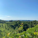 Photo n°1 de l'avis de Dominika.o fait le 11/06/2023 à 07:54 sur le  Ristorante MaMaGiò e Locanda à Valdobbiadene