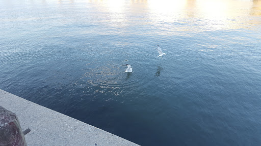 Park «Little Bay Park», reviews and photos, Cross Island Pkwy, Whitestone, NY 11357, USA