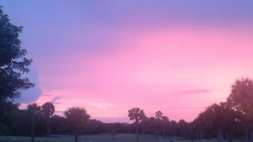 Golf Course «The Tides Golf Club», reviews and photos, 11832 66th Ave N, Seminole, FL 33772, USA