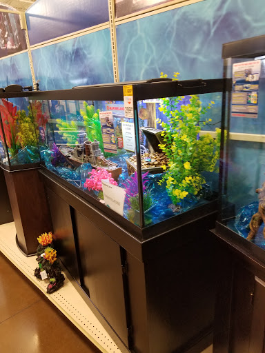 Pet Supply Store «PetSmart», reviews and photos, 10309 156th St E, Puyallup, WA 98373, USA