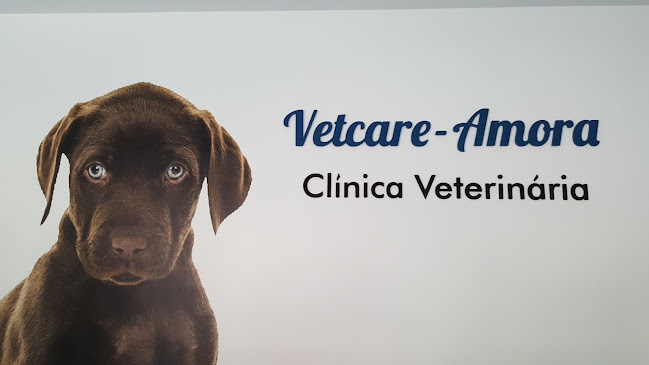 Clínica Veterinária Vetcare - Amora