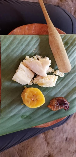 Travel Agency «Condor Tours & Travel, Inc», reviews and photos, 1760 Spectrum Dr #106, Lawrenceville, GA 30043, USA