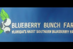 Blueberry Bunch Farm image