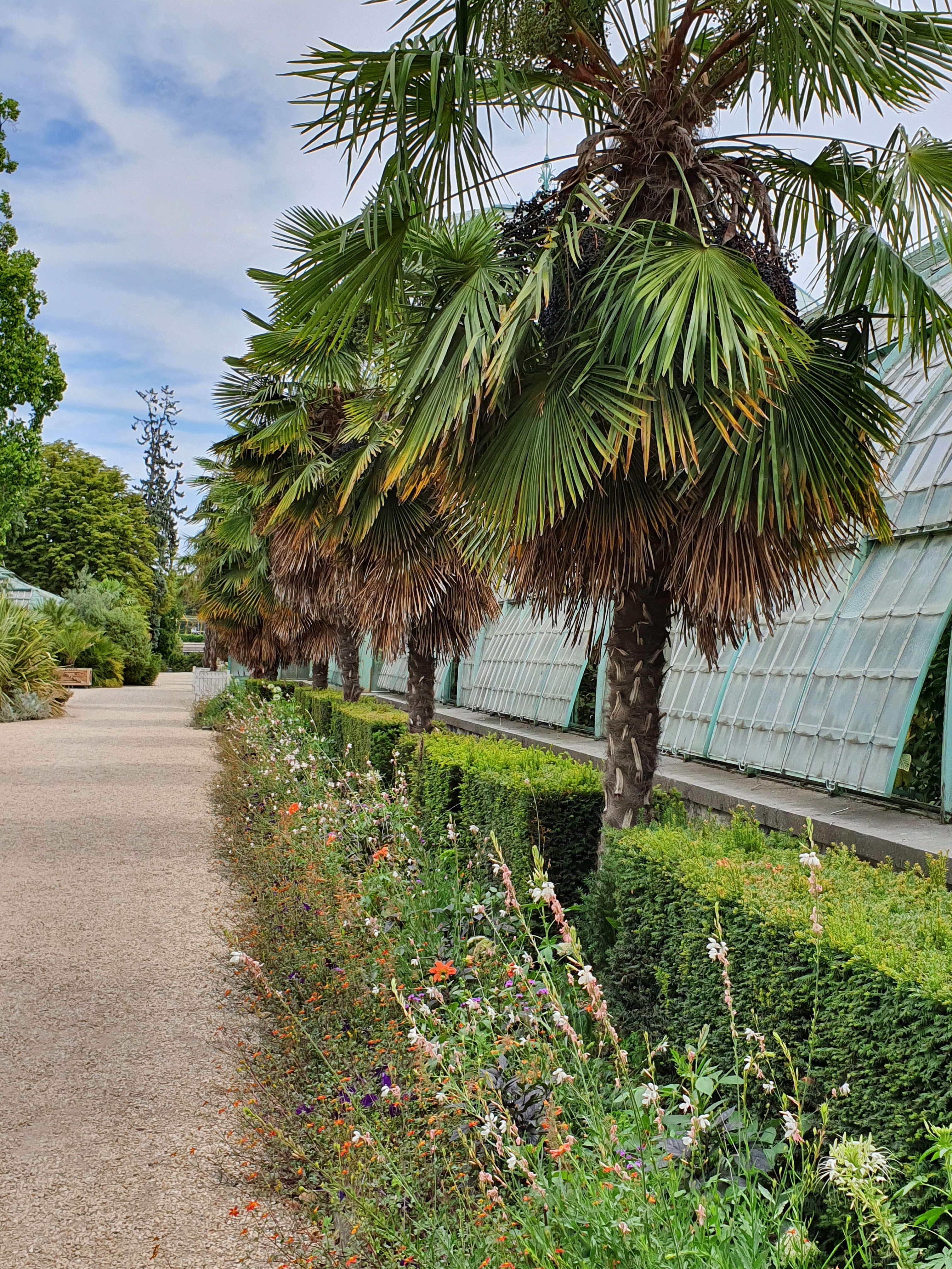 Photo n° 24 de l'avis de Peter.e fait le 06/08/2019 à 15:24
