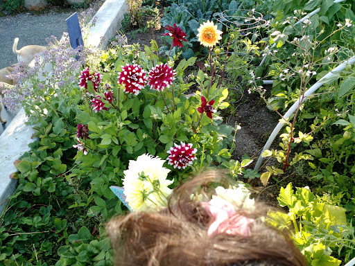 Park «Kirke Park», reviews and photos, 7028 9th Ave NW, Seattle, WA 98117, USA