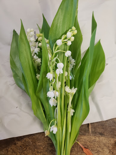 Florist «Dixon Florist & Gift Shop», reviews and photos, 150 E A St, Dixon, CA 95620, USA