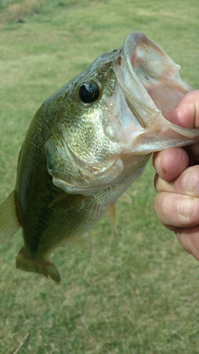 Golf Course «Broadmoore Golf Course», reviews and photos, 500 Willow Pine Dr, Moore, OK 73160, USA