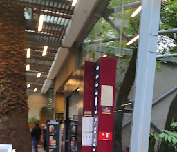 Starbucks photo