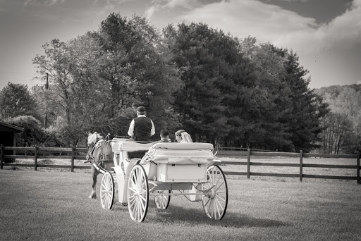 Wedding Venue «Hidden River Events», reviews and photos, 30 Hidden River Dr, Swannanoa, NC 28778, USA