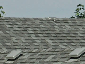 Roofing Contractor «Pacific West Roofing», reviews and photos, 9360 SW Tualatin-Sherwood Rd, Tualatin, OR 97062, USA