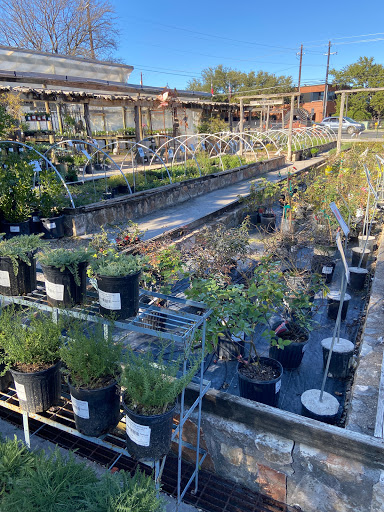 Barton Springs Nursery