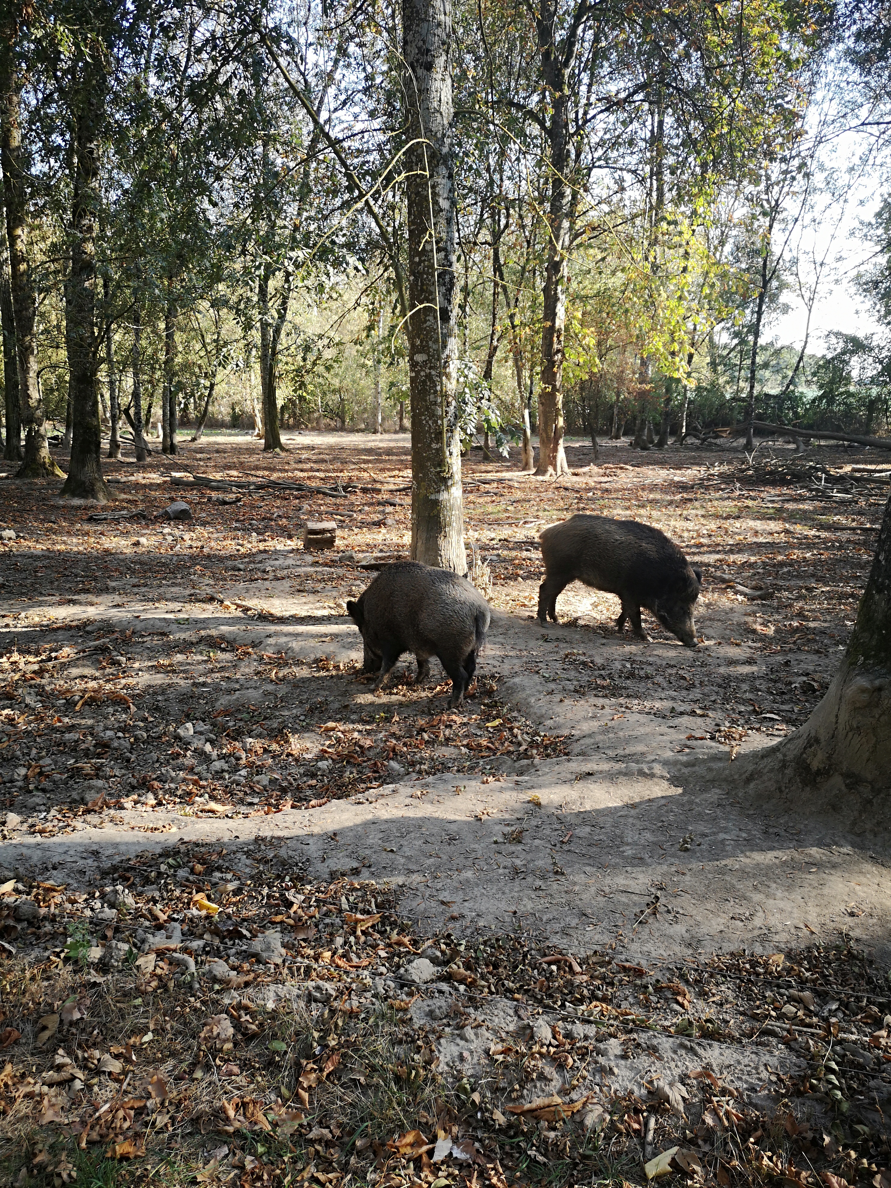 Photo n° 11 de l'avis de Gonzague.a fait le 17/10/2018 à 16:20