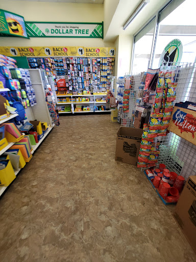 Dollar Store «Dollar Tree», reviews and photos, 8727 S Ridgeland Ave, Oak Lawn, IL 60453, USA