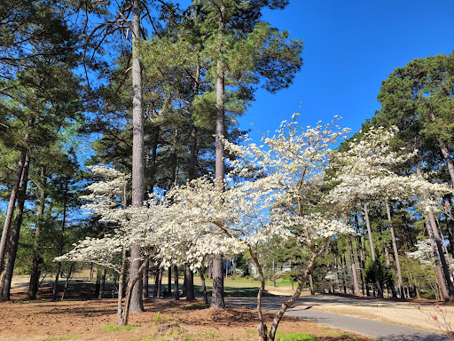 Golf Club «Wildwood Green Golf Club», reviews and photos, 3000 Ballybunion Way, Raleigh, NC 27613, USA