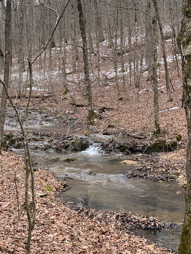 John J. Audubon Trailhead
