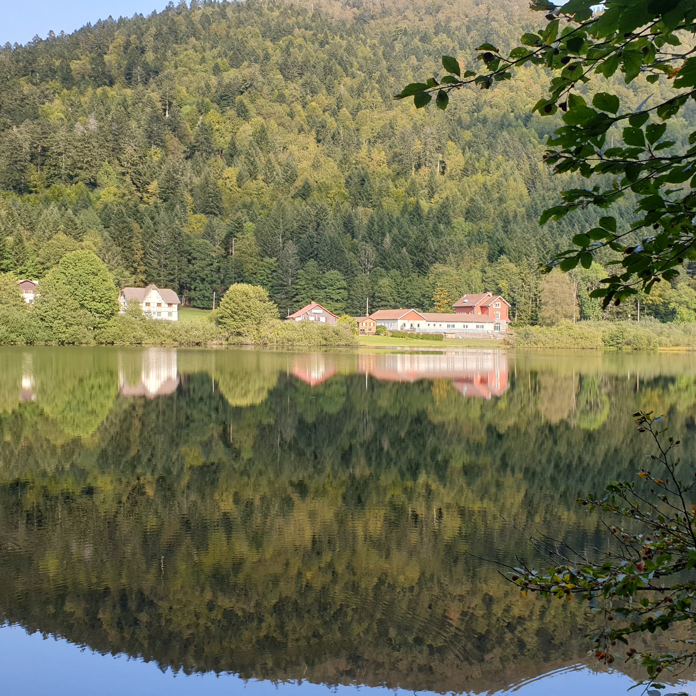 Photo n° 1 de l'avis de Géraldine.o fait le 15/09/2020 à 06:29