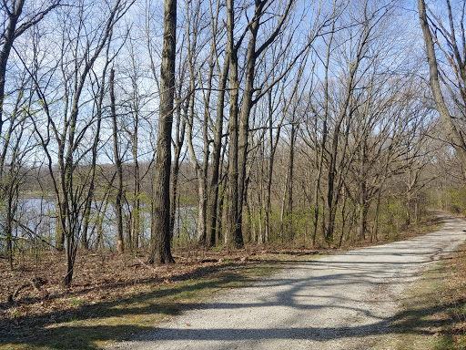 Nature Preserve «Bullfrog Lake», reviews and photos, 9600 Wolf Rd, Willow Springs, IL 60480, USA