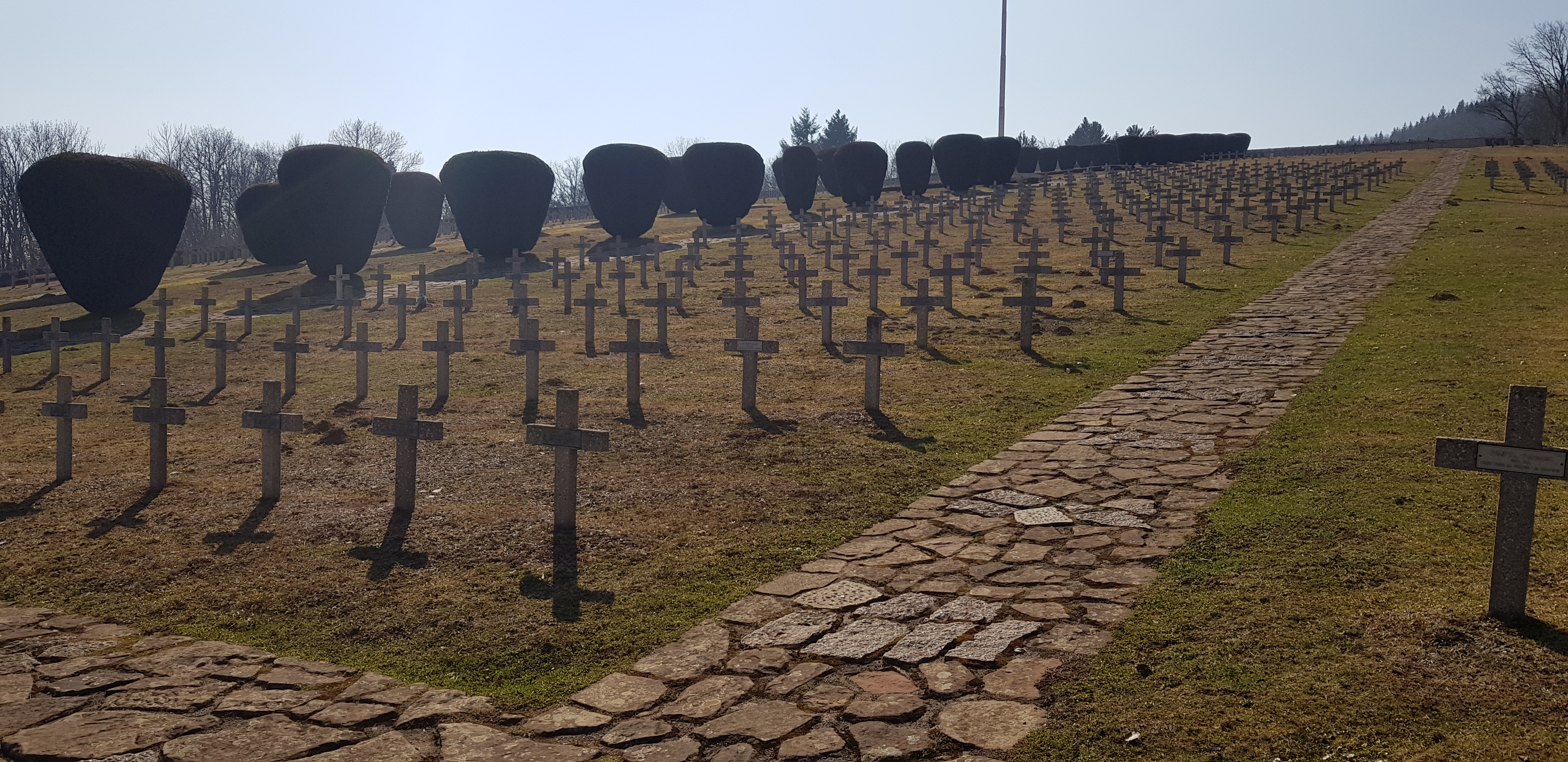 Photo n° 13 de l'avis de Alex.t fait le 22/03/2022 à 18:40