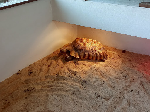 Pet Store «Fins Feathers Paws & Claws», reviews and photos, 436 Main St, Harleysville, PA 19438, USA