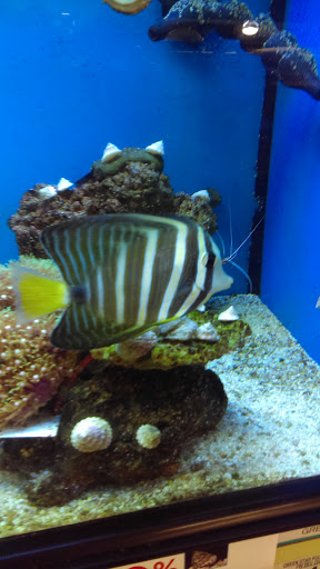 Pet Supply Store «Petco Animal Supplies», reviews and photos, 28400 Dequindre Rd, Warren, MI 48092, USA