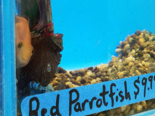 Pet Store «Pets Plus - Lansdale», reviews and photos, 555 S Broad St, Lansdale, PA 19446, USA