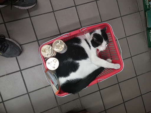 Pet Supply Store «Pet/Dog Delight», reviews and photos, 756 3rd Ave, Brooklyn, NY 11232, USA