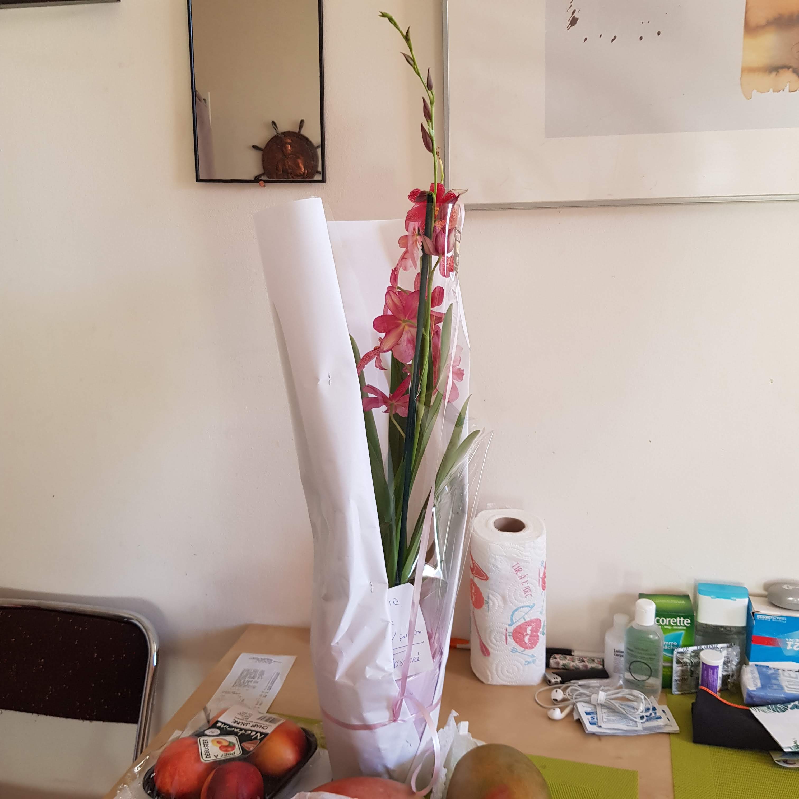 Photo n° 2 de l'avis de lekalio.o fait le 10/09/2020 à 11:02