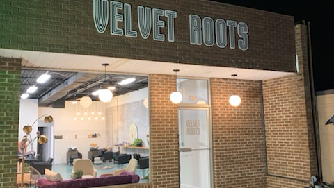 Velvet Roots Salon
