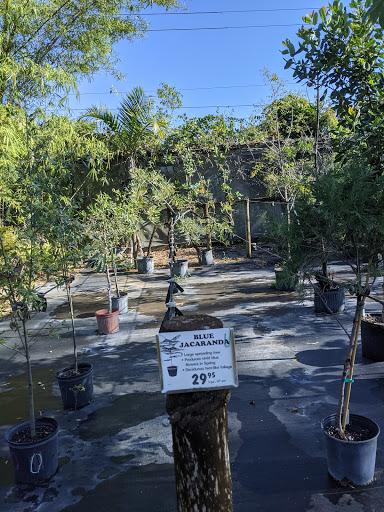 Florist «Weatherbee Nursery», reviews and photos, 701 E Weatherbee Rd, Fort Pierce, FL 34982, USA