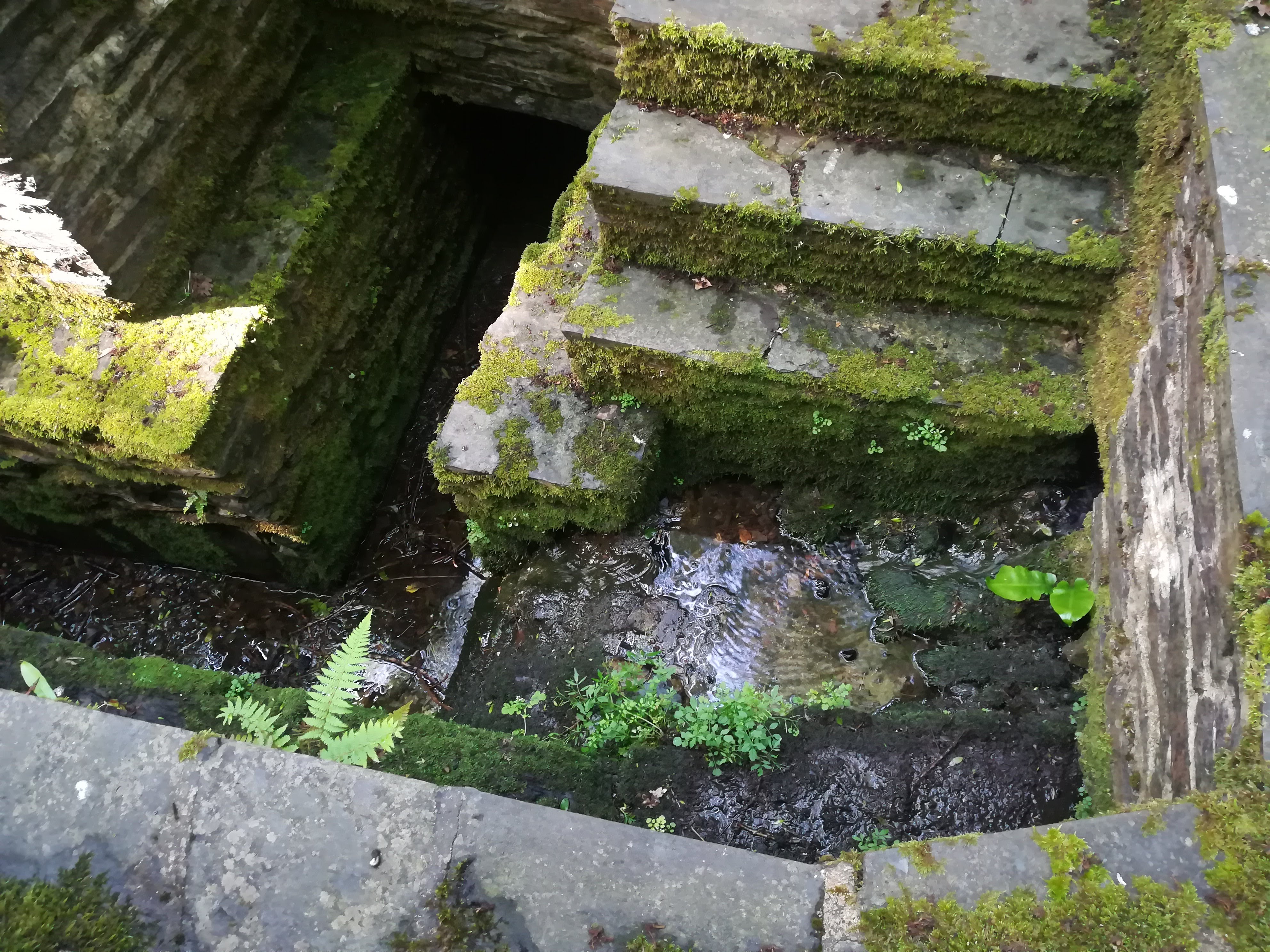 Photo n° 10 de l'avis de missbigsmile. fait le 03/07/2018 à 05:14